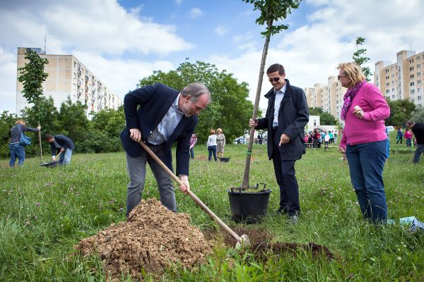 V areáli nitrianskeho Skateparku vyrástla filantropická stromová alej + fotografie V areáli nitrianskeho Skateparku vyrástla filantropická stromová alej + fotografie